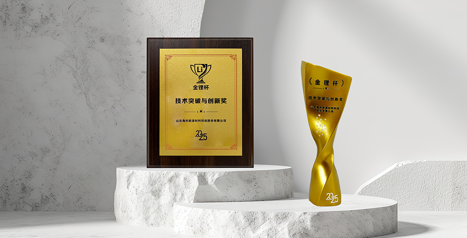 喜报 | 乐鱼官网app登录入口-乐鱼（中国）荣获真锂研究“技术突破与创新奖”